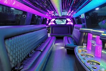 Baytown Limo Interior