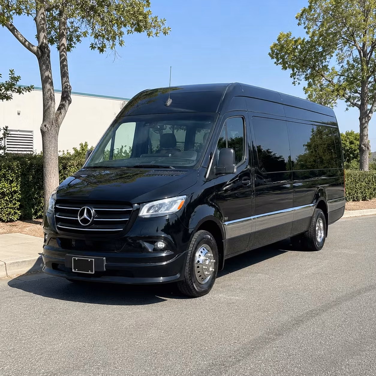 sprinter van with driver